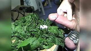 2126 bdsm porn videos